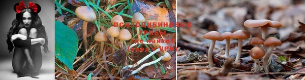бутират Мегион