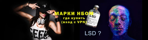мяу мяу мука Майский