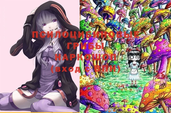 спайс Медвежьегорск