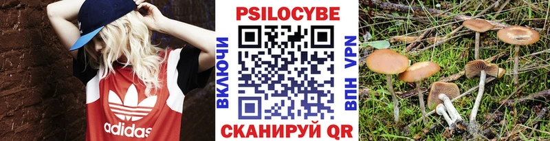 MEGA рабочий сайт  Межгорье  Галлюциногенные грибы Psilocybine cubensis 
