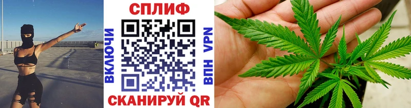 Шишки марихуана сатива  Межгорье 